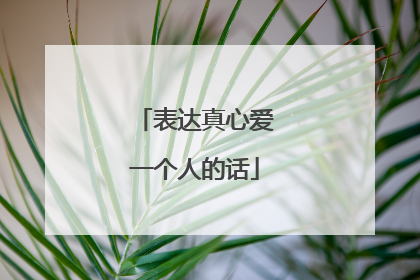 表达真心爱一个人的话