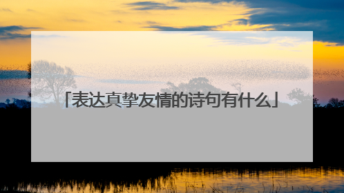 表达真挚友情的诗句有什么