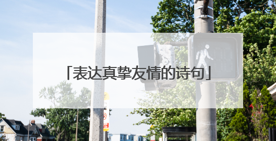 表达真挚友情的诗句