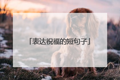 表达祝福的短句子