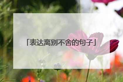 表达离别不舍的句子