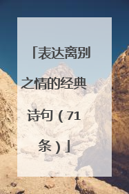表达离别之情的经典诗句(71条)