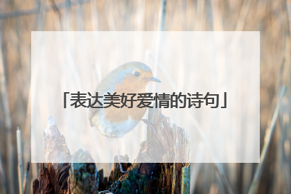 表达美好爱情的诗句