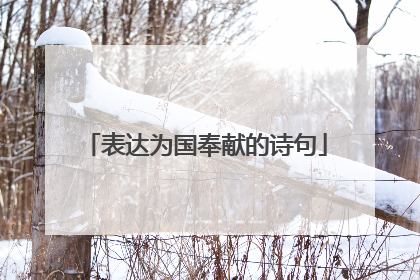 表达为国奉献的诗句