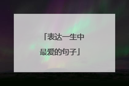 表达一生中最爱的句子