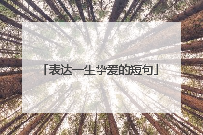 表达一生挚爱的短句