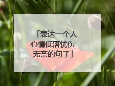 表达一个人心情低落忧伤无奈的句子