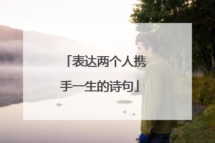 表达两个人携手一生的诗句