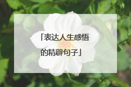 表达人生感悟的精辟句子