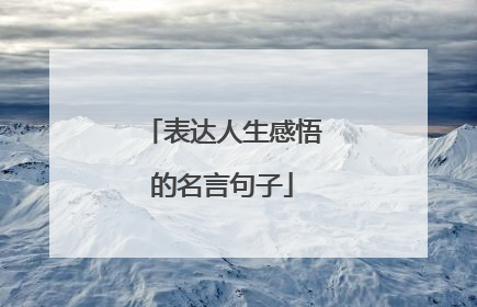 表达人生感悟的名言句子