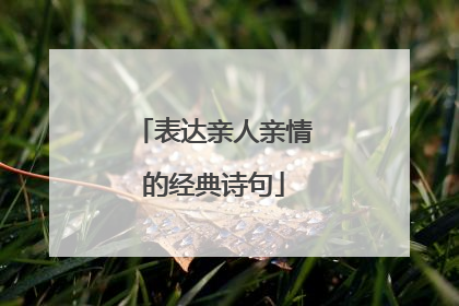 表达亲人亲情的经典诗句