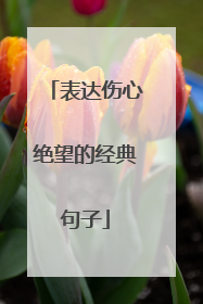 表达伤心绝望的经典句子