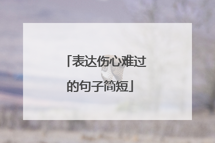 表达伤心难过的句子简短