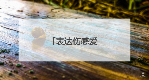 表达伤感爱情的句子