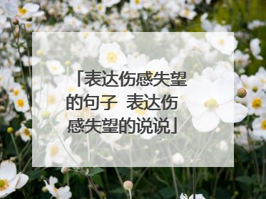 表达伤感失望的句子 表达伤感失望的说说