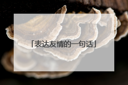 表达友情的一句话