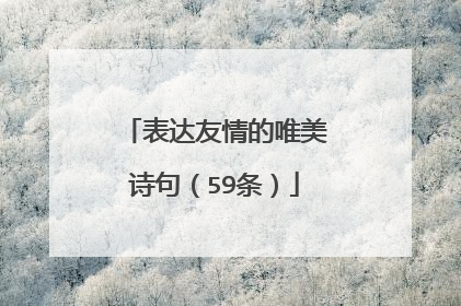 表达友情的唯美诗句(59条)