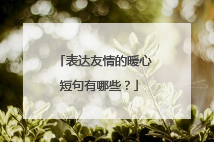 表达友情的暖心短句有哪些?