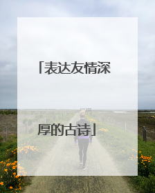 表达友情深厚的古诗