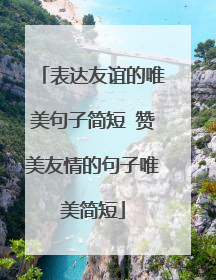 表达友谊的唯美句子简短 赞美友情的句子唯美简短