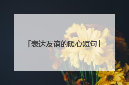 表达友谊的暖心短句