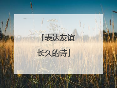 表达友谊长久的诗