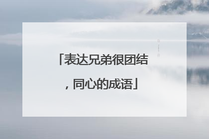 表达兄弟很团结，同心的成语