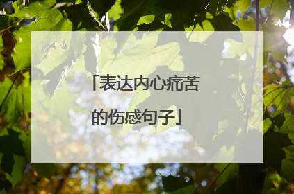 表达内心痛苦的伤感句子