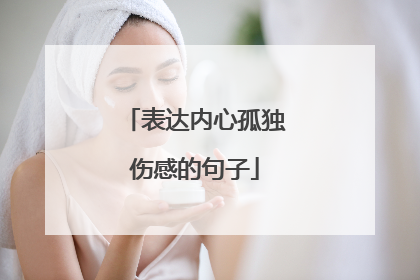 表达内心孤独伤感的句子