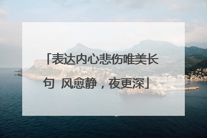 表达内心悲伤唯美长句 风愈静，夜更深