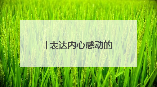 表达内心感动的句子有哪些?