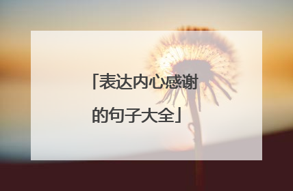 表达内心感谢的句子大全