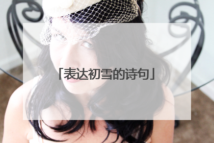 表达初雪的诗句