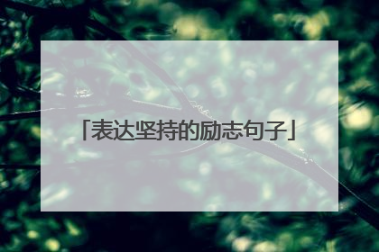表达坚持的励志句子