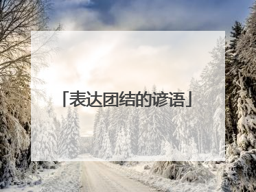 表达团结的谚语