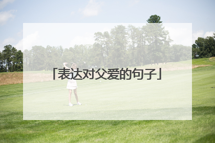 表达对父爱的句子