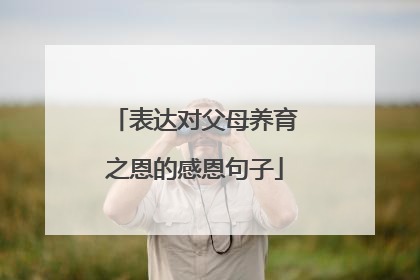 表达对父母养育之恩的感恩句子