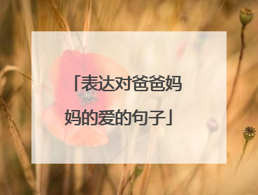 表达对爸爸妈妈的爱的句子
