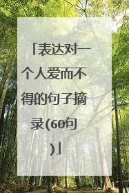 表达对一个人爱而不得的句子摘录(60句)