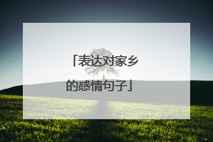表达对家乡的感情句子