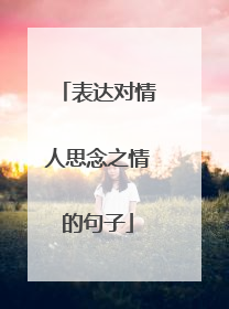 表达对情人思念之情的句子