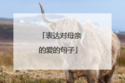 表达对母亲的爱的句子