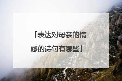 表达对母亲的情感的诗句有哪些