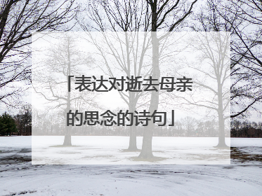 表达对逝去母亲的思念的诗句