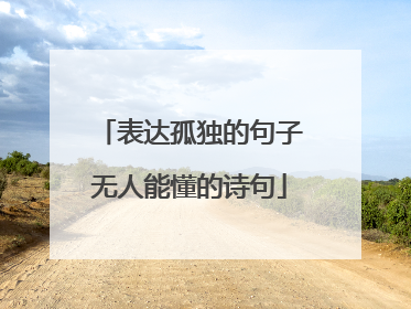 表达孤独的句子无人能懂的诗句
