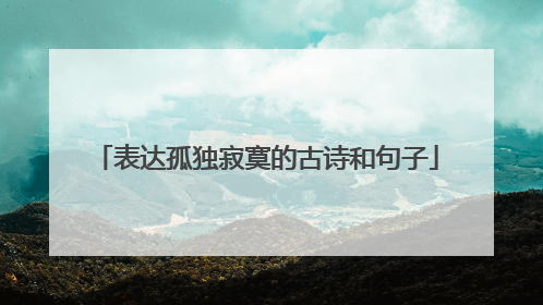 表达孤独寂寞的古诗和句子
