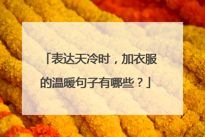 表达天冷时，加衣服的温暖句子有哪些？