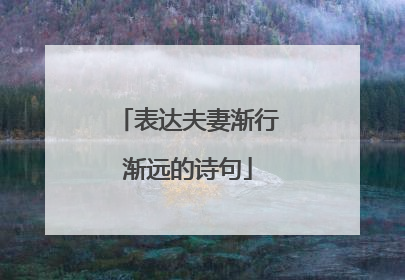 表达夫妻渐行渐远的诗句