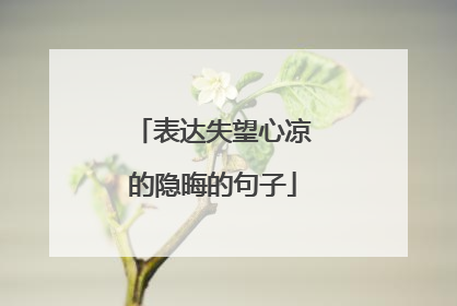 表达失望心凉的隐晦的句子