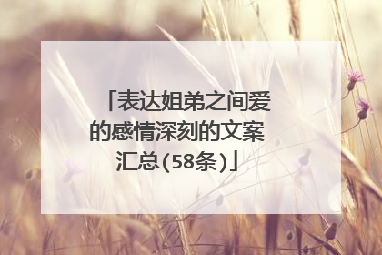 表达姐弟之间爱的感情深刻的文案汇总(58条)